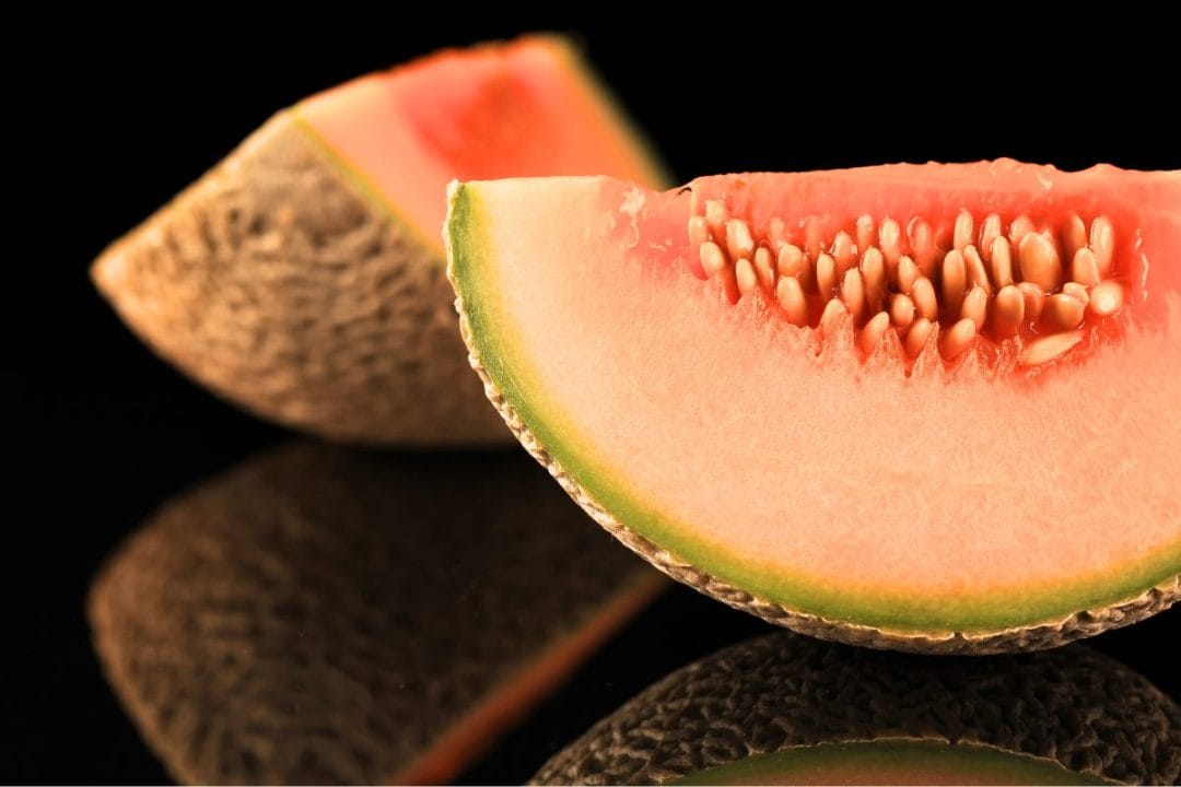 Mauvaise habitude melon