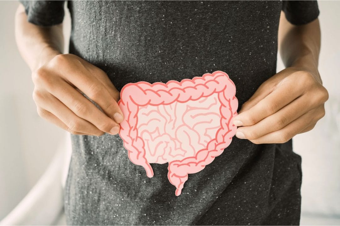 Les 3 ingrédients les plus néfastes pour la santé intestinale