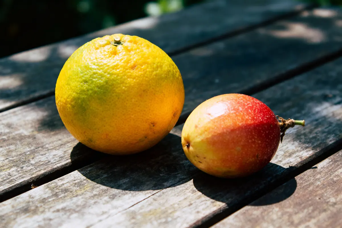 Orange et fruit exotique posés sur une table en bois, ombres douces visibles.