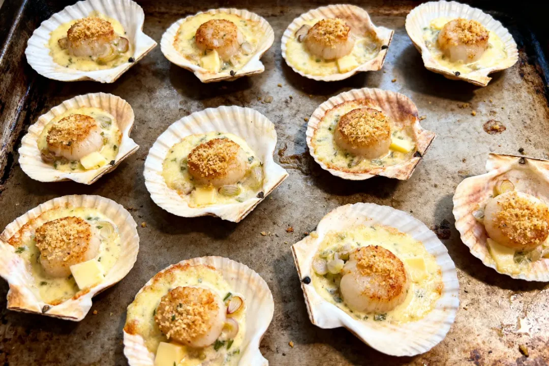 Coquilles Saint-Jacques gratinées au four, avec chapelure et beurre, sur une plaque de cuisson en métal.