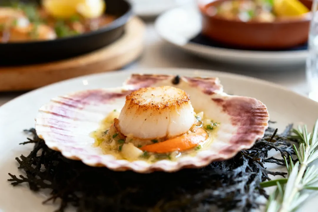 Coquille Saint-Jacques bretonne joliment dressée sur lit d'algues, ambiance gastronomique élégante.