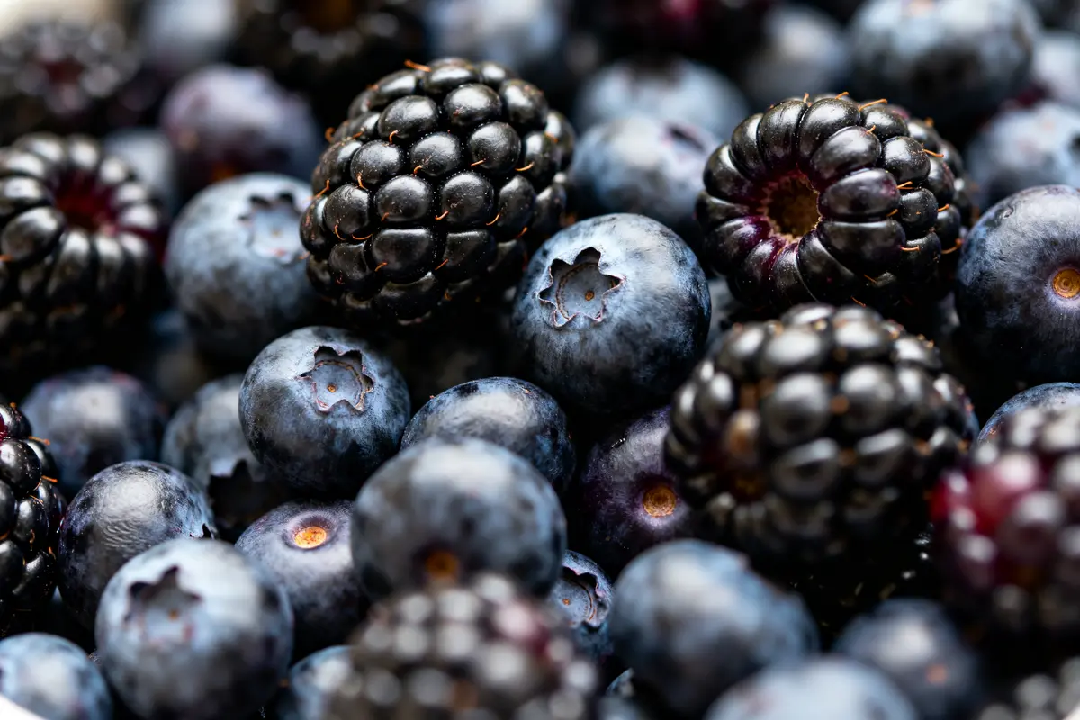 Mûres et myrtilles en gros plan mettant en avant des fruits noirs savoureux
